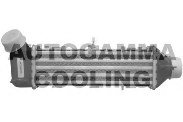Интеркулер AUTOGAMMA 102407