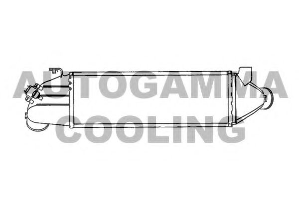 Интеркулер AUTOGAMMA 103099