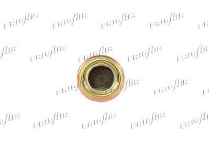Топливный фильтр FRIGAIR C6003112110