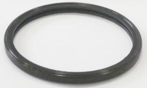 Прокладка, термостат; Прокладка, корпус термостата MOTORAD MG461