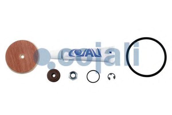 Ремонтный комплект, осущитель во COJALI 6012247