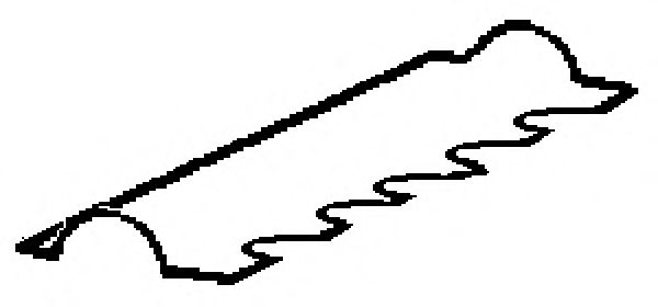 Прокладка, крышка головки цилиндра GLASER X53174-01