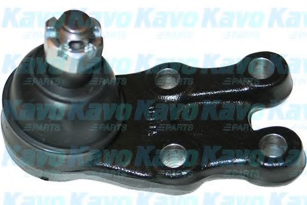 Несущий / направляющий шарнир KAVO PARTS SBJ-3021