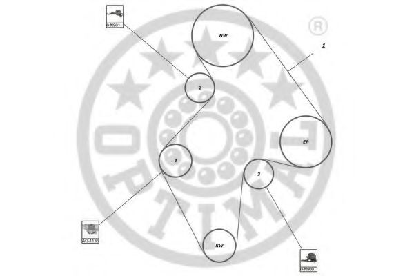 Водяной насос + комплект зубчатого ремня OPTIMAL R1028
