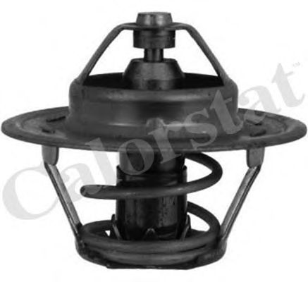 Термостат, охлаждающая жидкость CALORSTAT by Vernet TH4046.86J