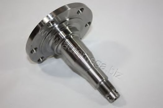 Ступица колеса AUTOMEGA 3050101178D0C