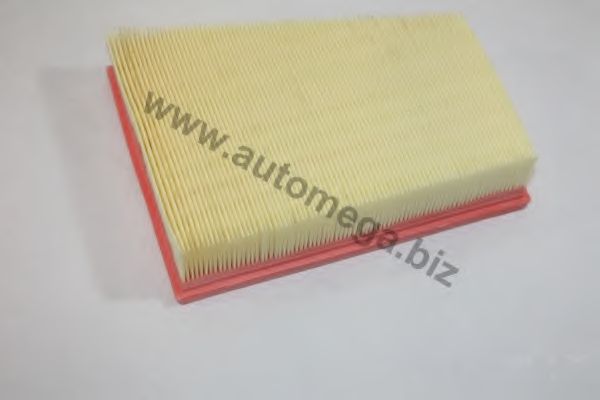 Воздушный фильтр AUTOMEGA 3016540670078R
