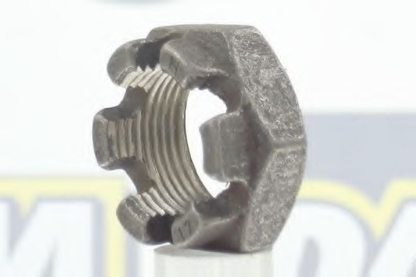 Гайка, первичный вал DA SILVA E15