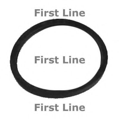 Термостат, охлаждающая жидкость FIRST LINE TG041