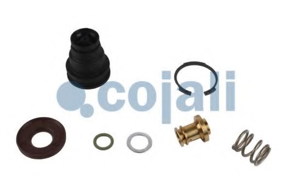 Ремонтный комплект, осущитель во COJALI 6012290