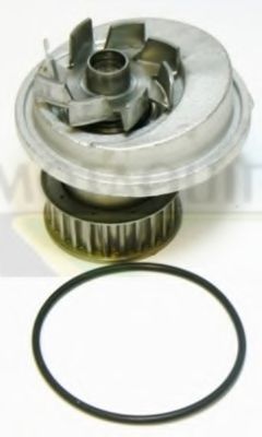 Водяной насос MOTAQUIP VWP545