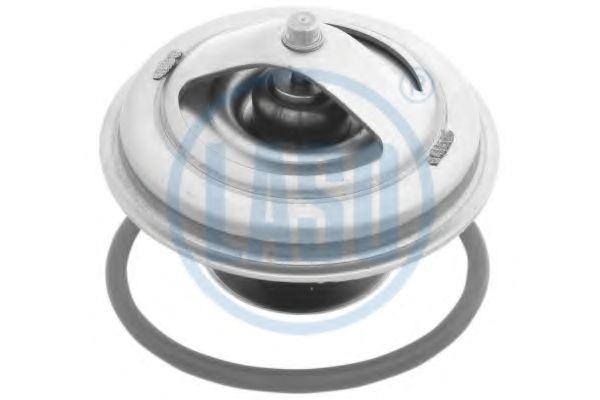 Термостат, охлаждающая жидкость LASO 20201507