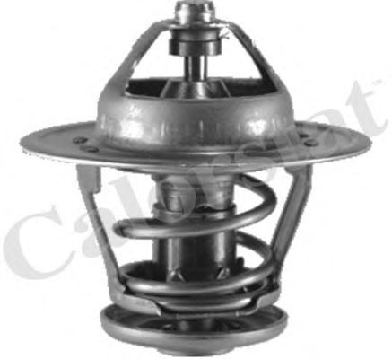 Термостат, охлаждающая жидкость CALORSTAT by Vernet TH1350.91J