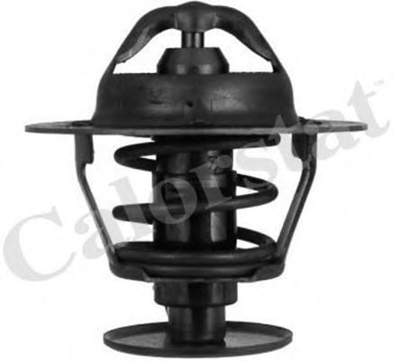 Термостат, охлаждающая жидкость CALORSTAT by Vernet TH5952.82J