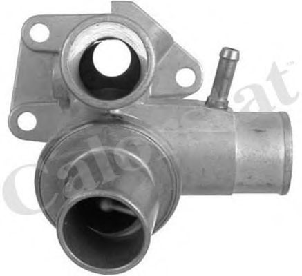 Термостат, охлаждающая жидкость CALORSTAT by Vernet TH6253.80J