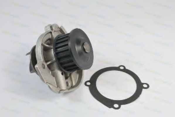 Водяной насос THERMOTEC D1F072TT