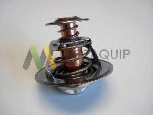 Термостат, охлаждающая жидкость MOTAQUIP LVTK231