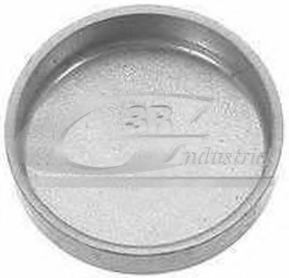 Пробка антифриза 3RG 84034