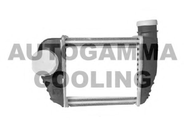 Интеркулер AUTOGAMMA 105719