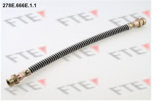 Тормозной шланг FTE 278E.666E.1.1