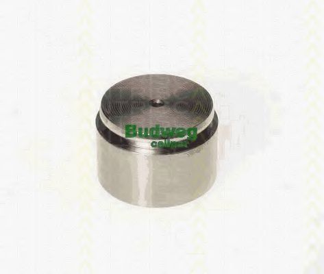 Поршень, корпус скобы тормоза TRISCAN 8170 234613
