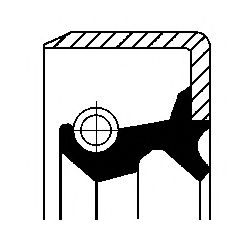 Уплотняющее кольцо, ступица колеса CORTECO 19029704B