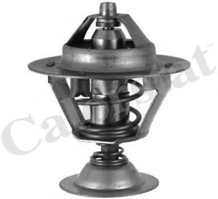 Термостат, охлаждающая жидкость CALORSTAT by Vernet TH6511.88J