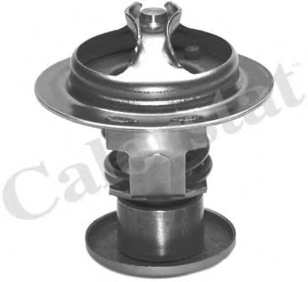 Термостат, охлаждающая жидкость CALORSTAT by Vernet TH7031.82J