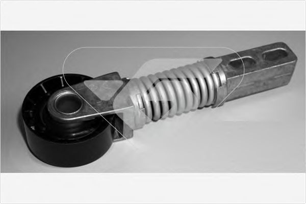 Натяжной ролик, поликлиновой  ремень HUTCHINSON T2036