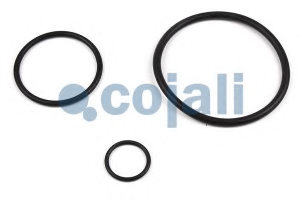 Ремкомплект, усилитель привода сцепления; Ремкомплект, тормозной клапан - тормозной механизм COJALI 6019010