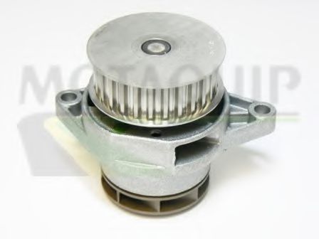 Водяной насос MOTAQUIP VWP813
