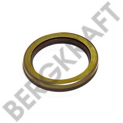 Уплотняющее кольцо, дифференциал BERGKRAFT BK6120963