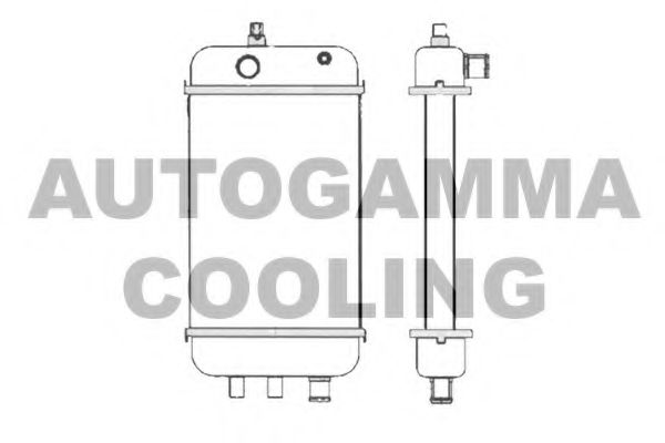 Радиатор, охлаждение двигателя AUTOGAMMA 103869