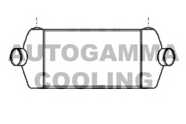 Интеркулер AUTOGAMMA 105769