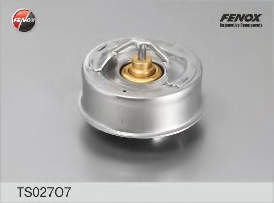 Термостат, охлаждающая жидкость FENOX TS027O7