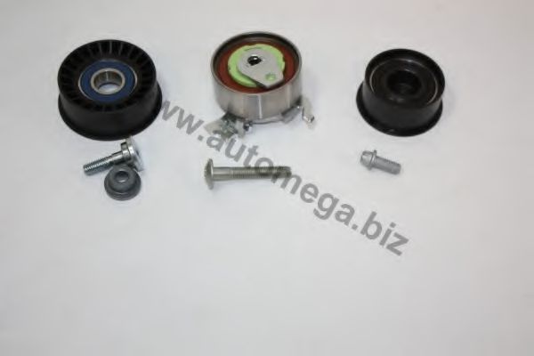 Комплект ремня ГРМ AUTOMEGA 3116060274