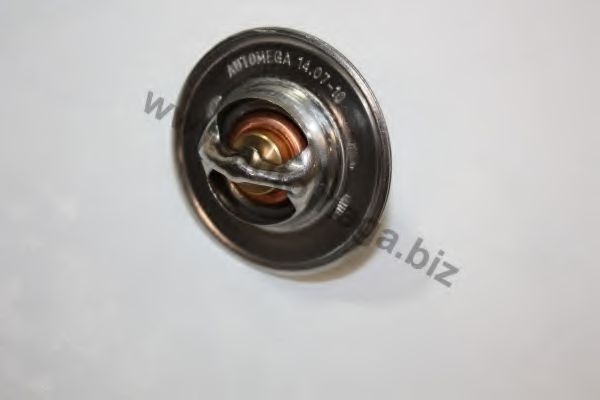 Термостат, охлаждающая жидкость AUTOMEGA 301338037