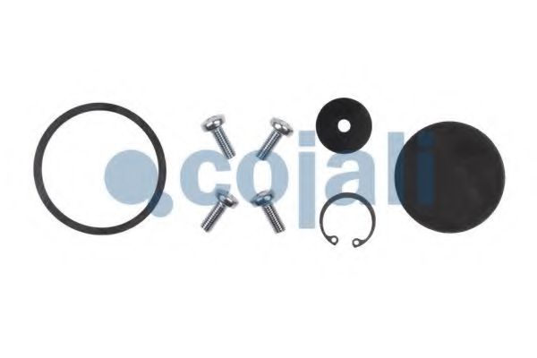 Ремкомплект COJALI 6012041