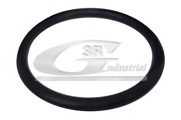 Прокладка, термостат 3RG M80776-01