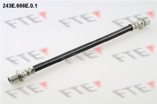 Тормозной шланг FTE 243E.666E.0.1
