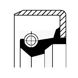 Уплотняющее кольцо, ступица колеса; Уплотнение вала, вал разжимного кулака; Уплотнительное кольцо, поворотного кулака CORTECO 19031938B