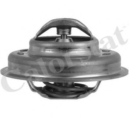 Термостат, охлаждающая жидкость CALORSTAT by Vernet TH4949.89J