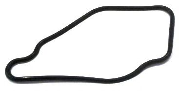 Прокладка, термостат; Прокладка, корпус термостата MOTORAD MG541