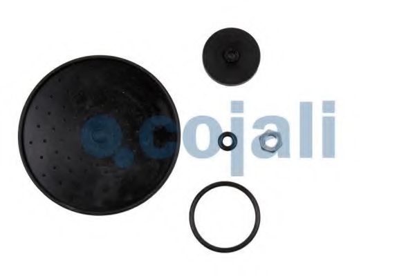Ремонтный комплект, осущитель во COJALI 6012084