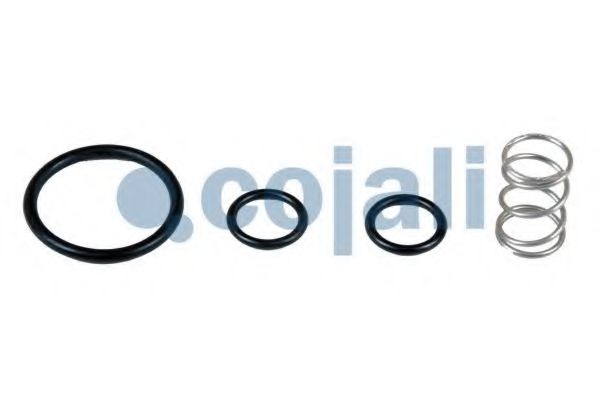 Ремкомплект COJALI 6012246