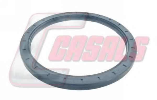 Уплотняющее кольцо вала, подшипник ступицы колеса CASALS 20178