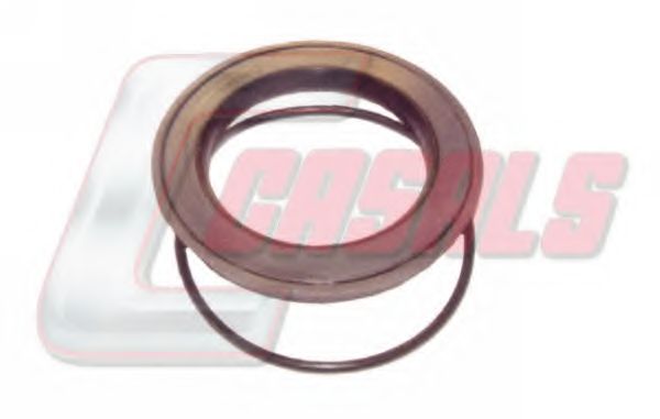 Уплотняющее кольцо вала, подшипник ступицы колеса CASALS 20196