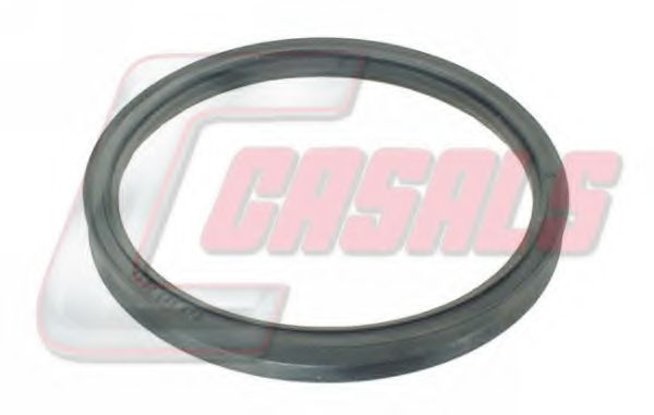 Уплотняющее кольцо, ступица колеса CASALS 20307