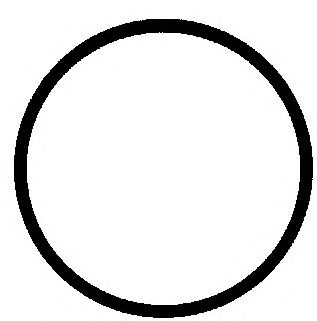 Прокладка, головка цилиндра WILMINK GROUP WG1085023