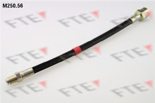 Тормозной шланг FTE M250.56